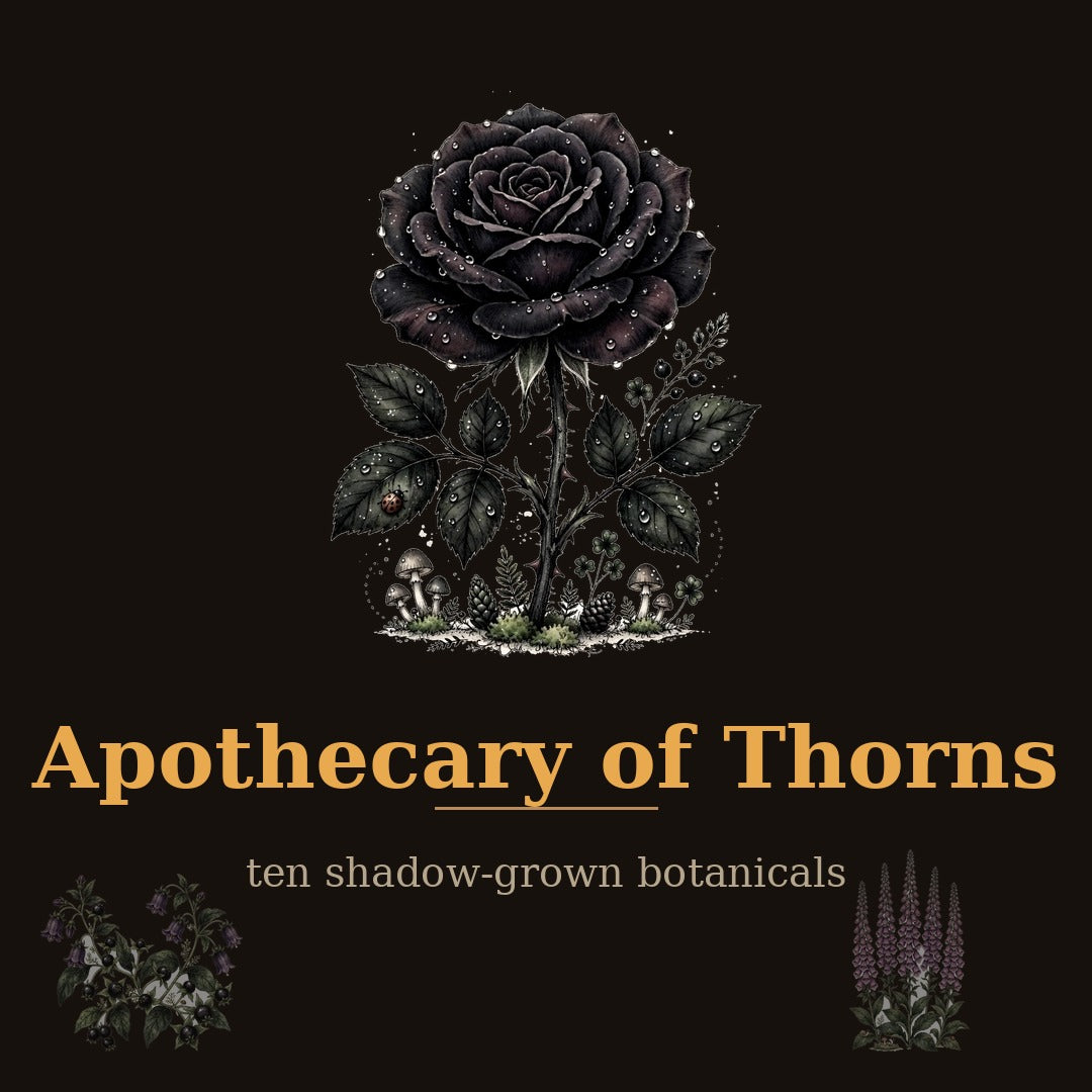 The Apothecary of Thorns Collection