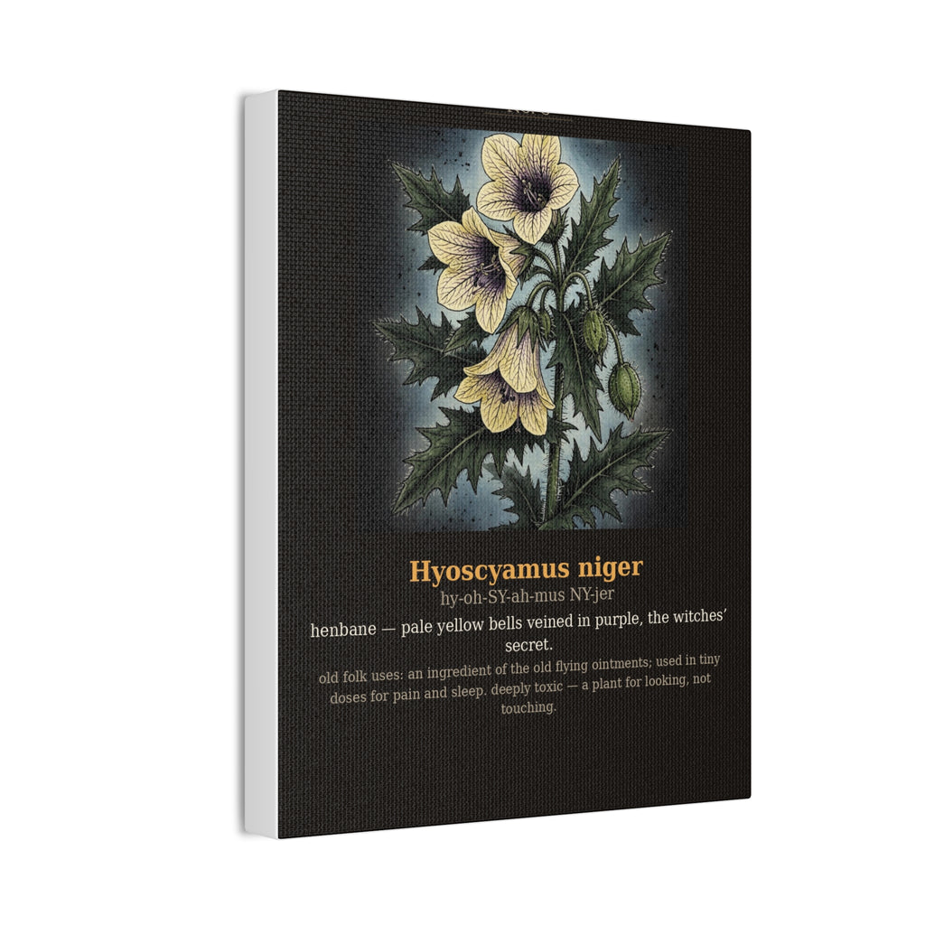 Apothecary of Thorns Canvas - Henbane No. 8 - product photo 6