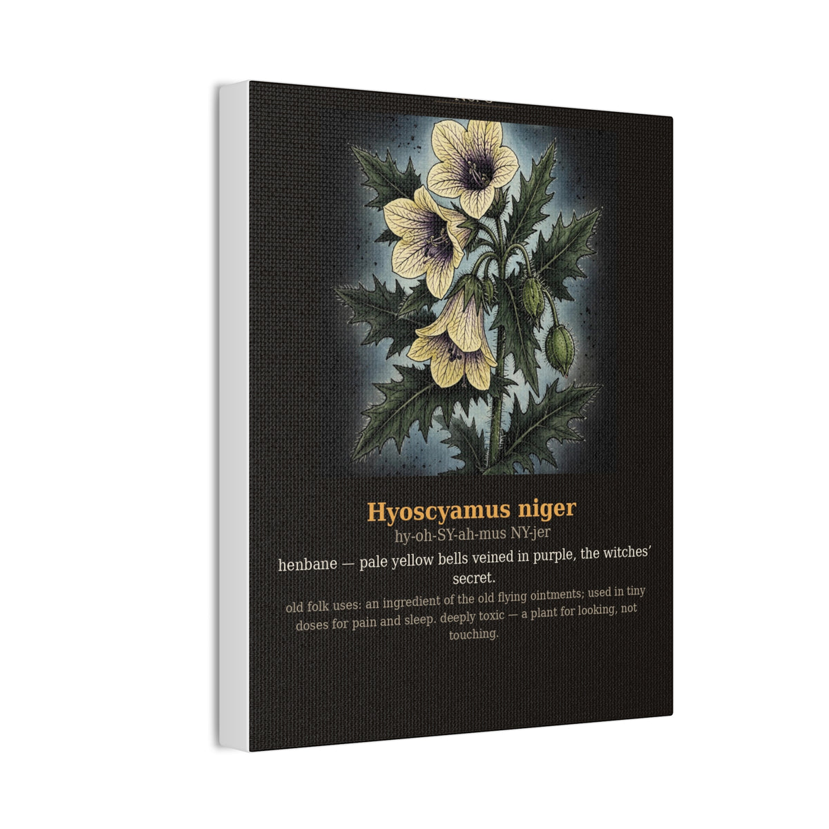 Apothecary of Thorns Canvas - Henbane No. 8 - product photo 6