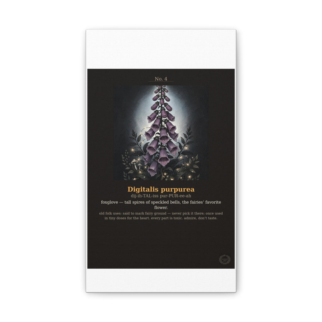 Apothecary of Thorns Canvas - Foxglove No. 4 - product photo 3