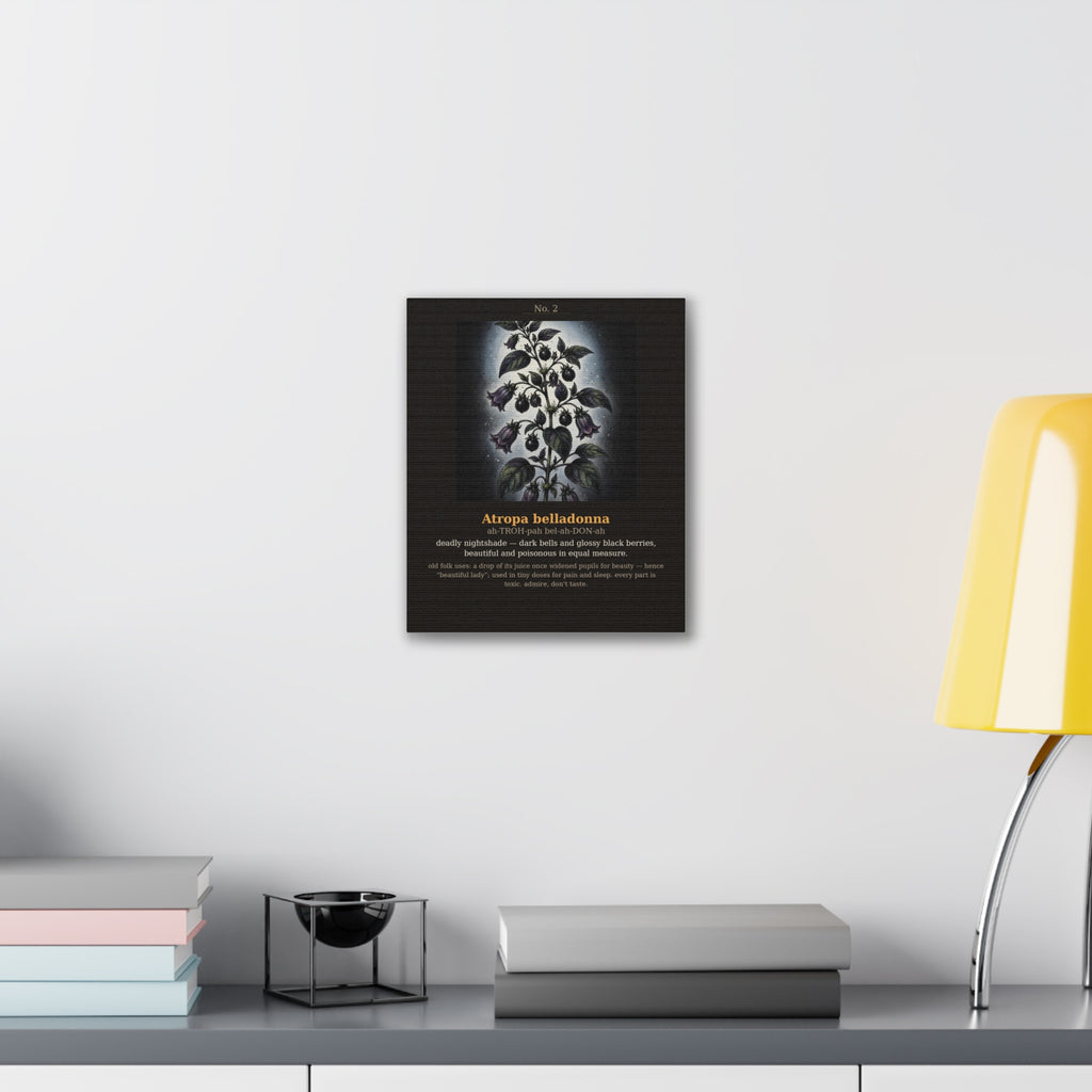 Apothecary of Thorns Canvas - Nightshade No. 2