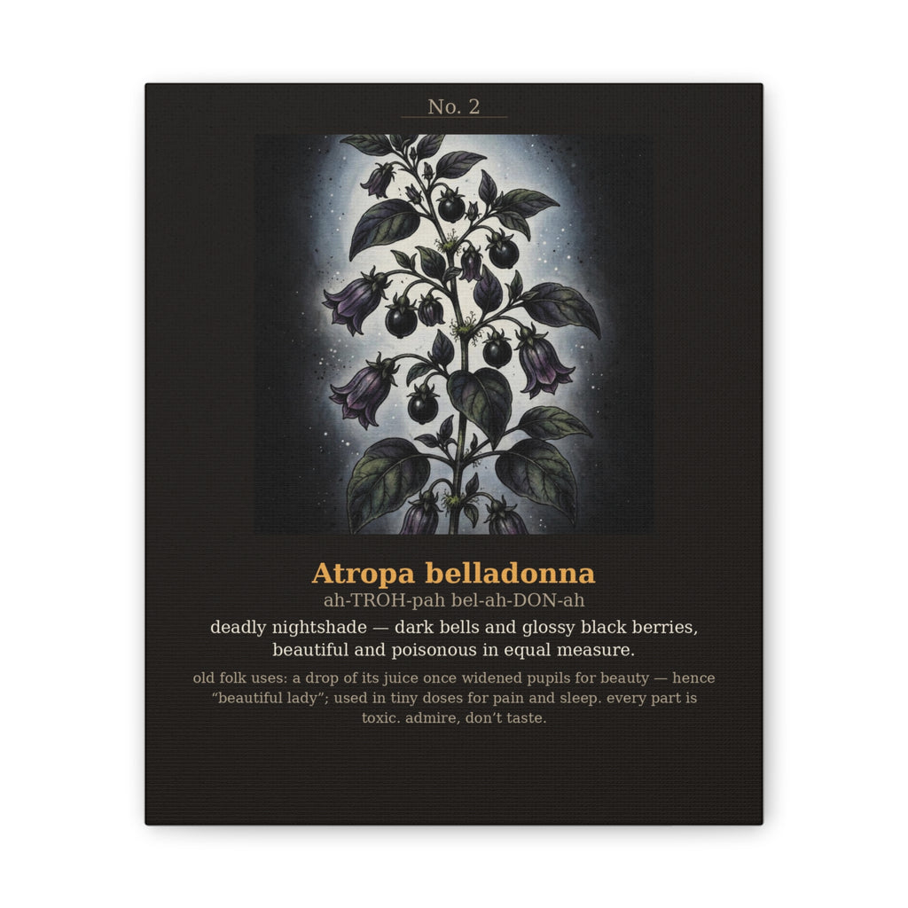 Apothecary of Thorns Canvas - Nightshade No. 2 - product photo 4