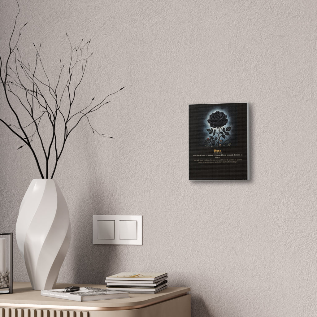 Apothecary of Thorns Canvas - Black Rose No. 1 - product photo 8
