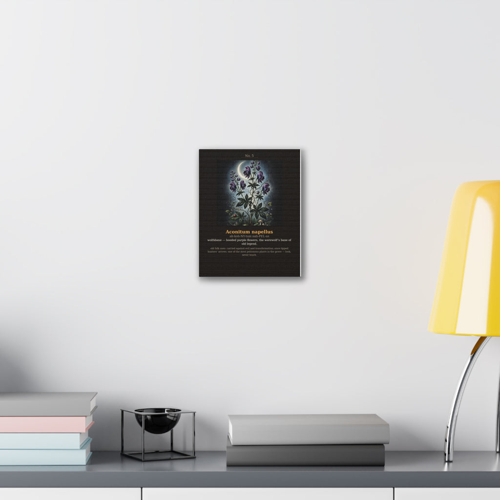 Apothecary of Thorns Canvas - Wolfsbane No. 5 - product photo 7