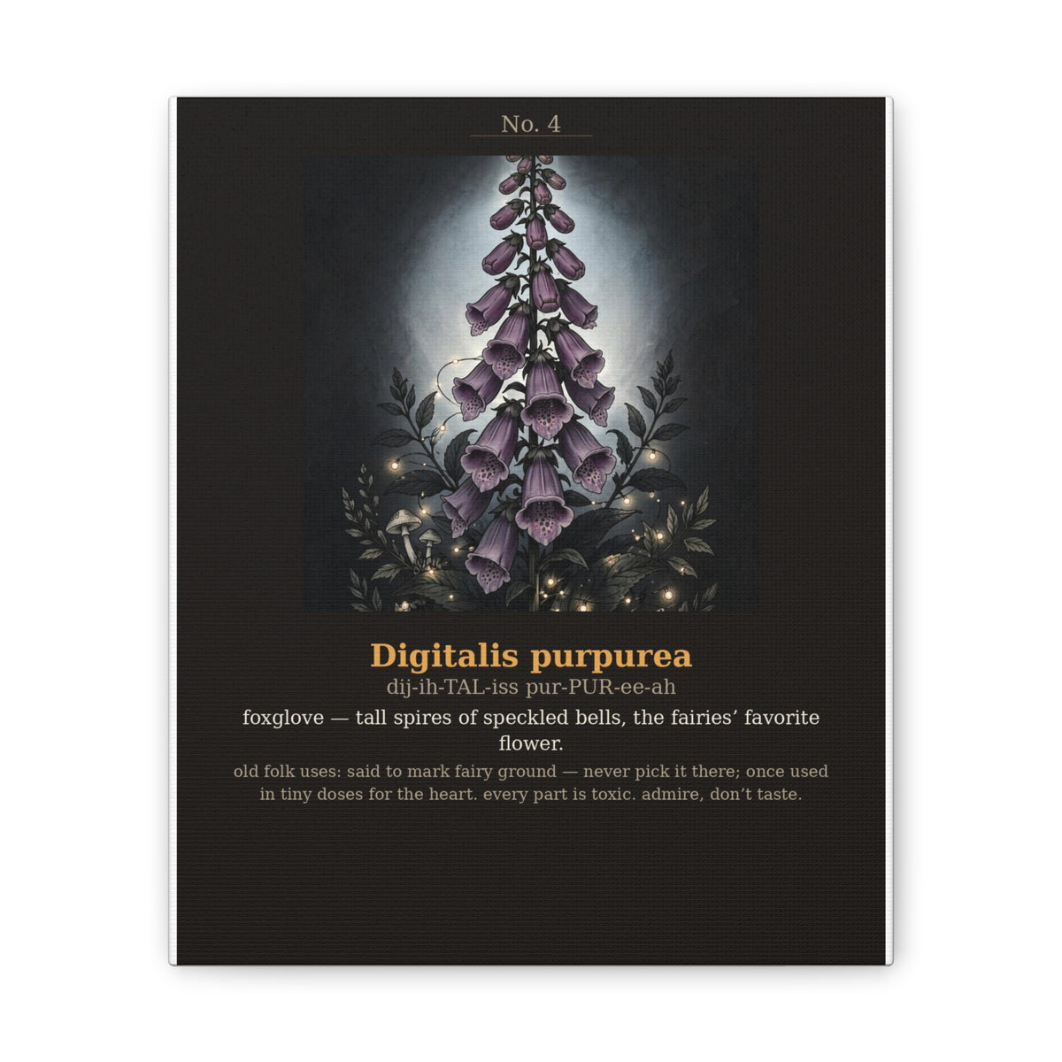Apothecary of Thorns Canvas - Foxglove No. 4 - product photo 4