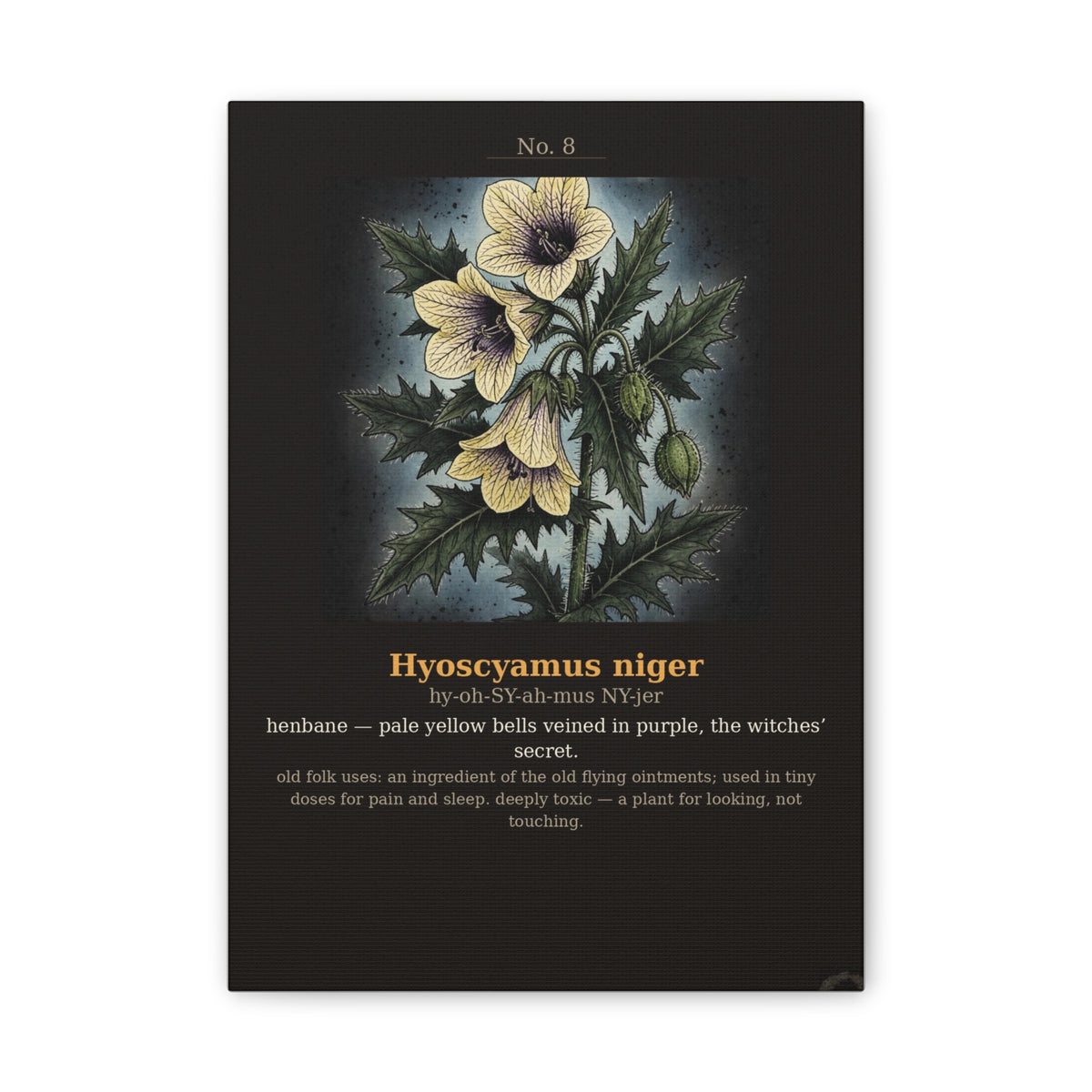 Apothecary of Thorns Canvas - Henbane No. 8 - product photo 5