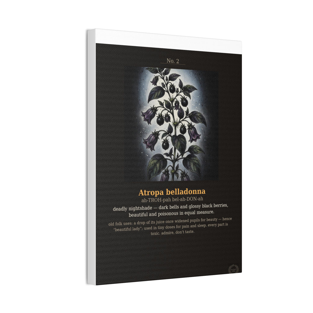 Apothecary of Thorns Canvas - Nightshade No. 2