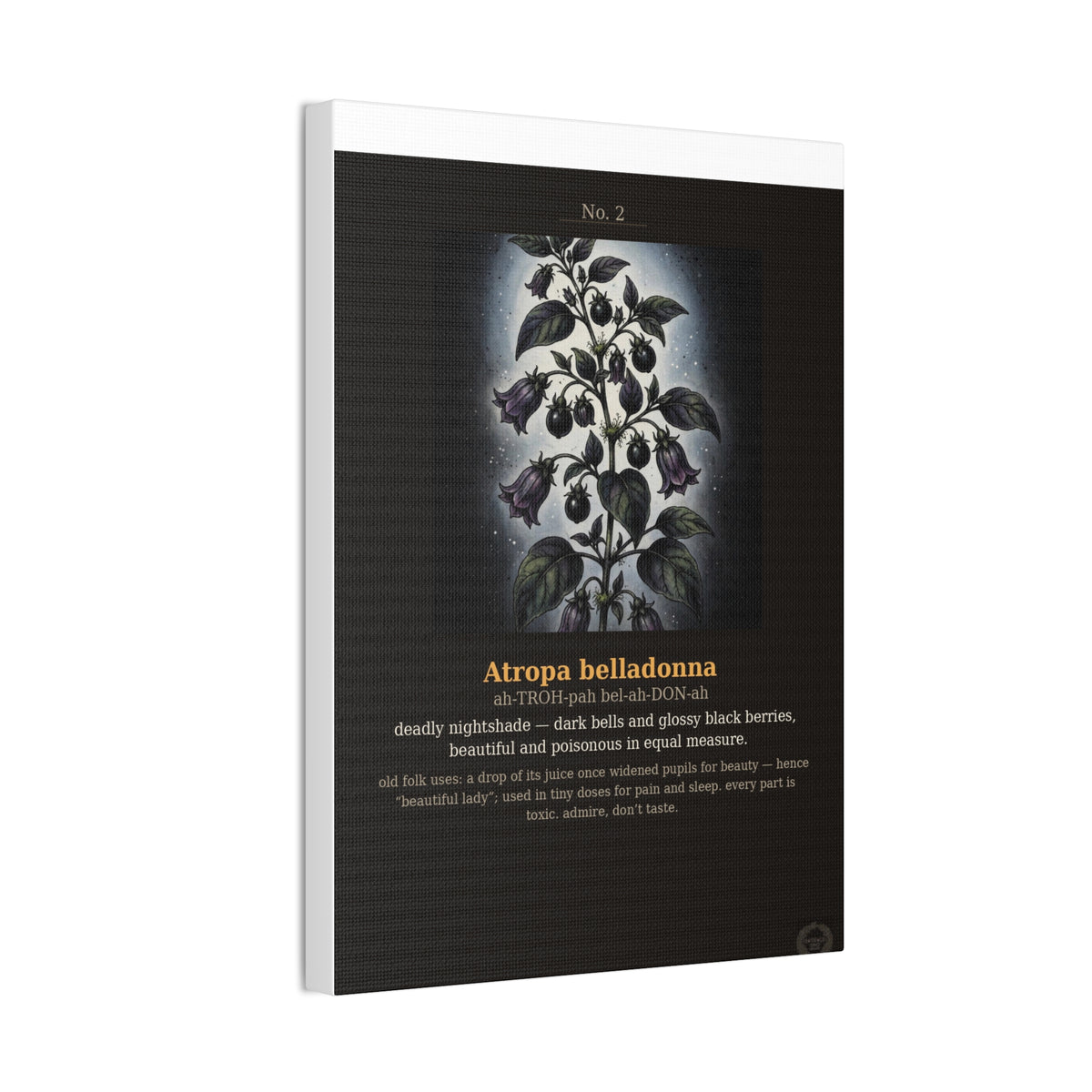 Apothecary of Thorns Canvas - Nightshade No. 2