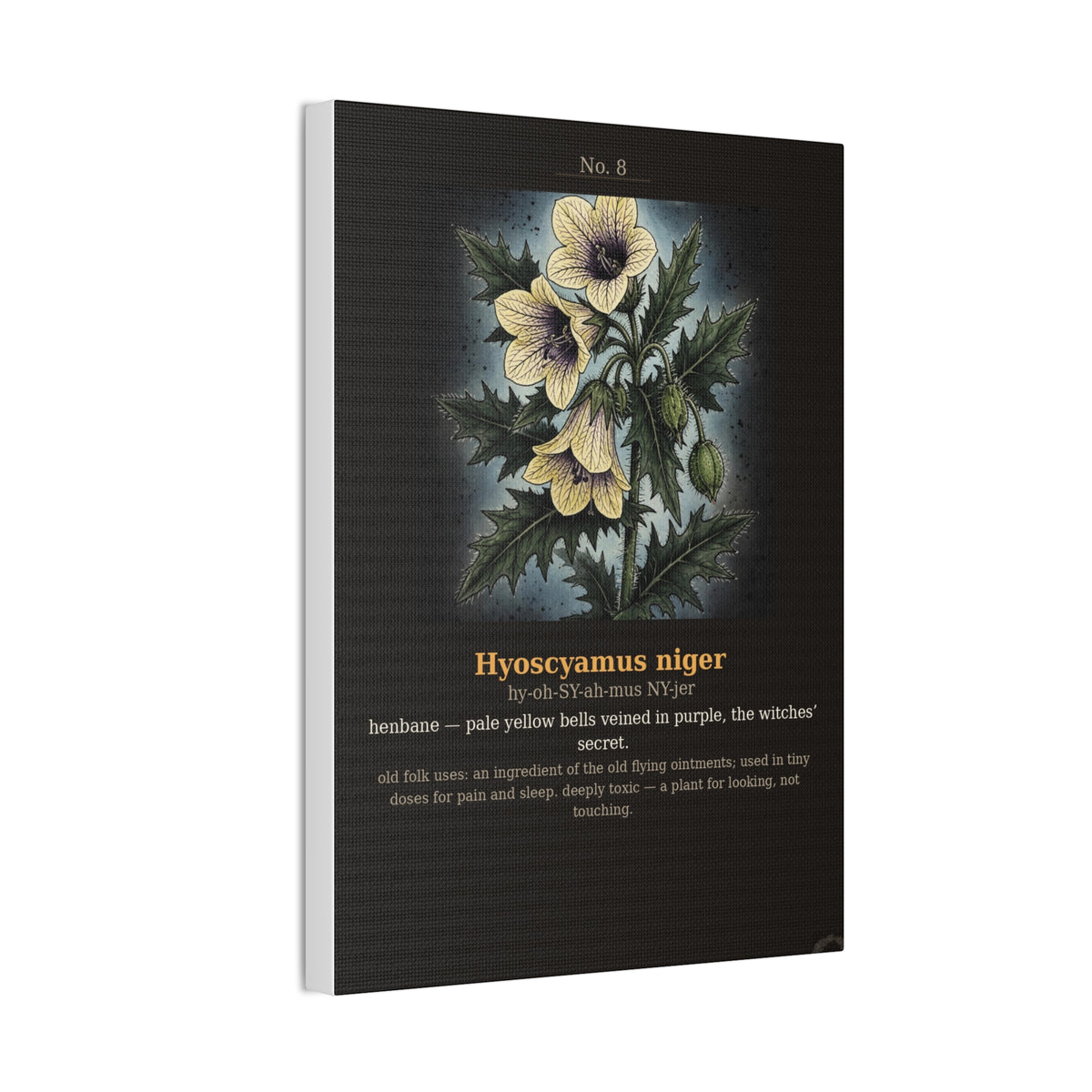 Apothecary of Thorns Canvas - Henbane No. 8