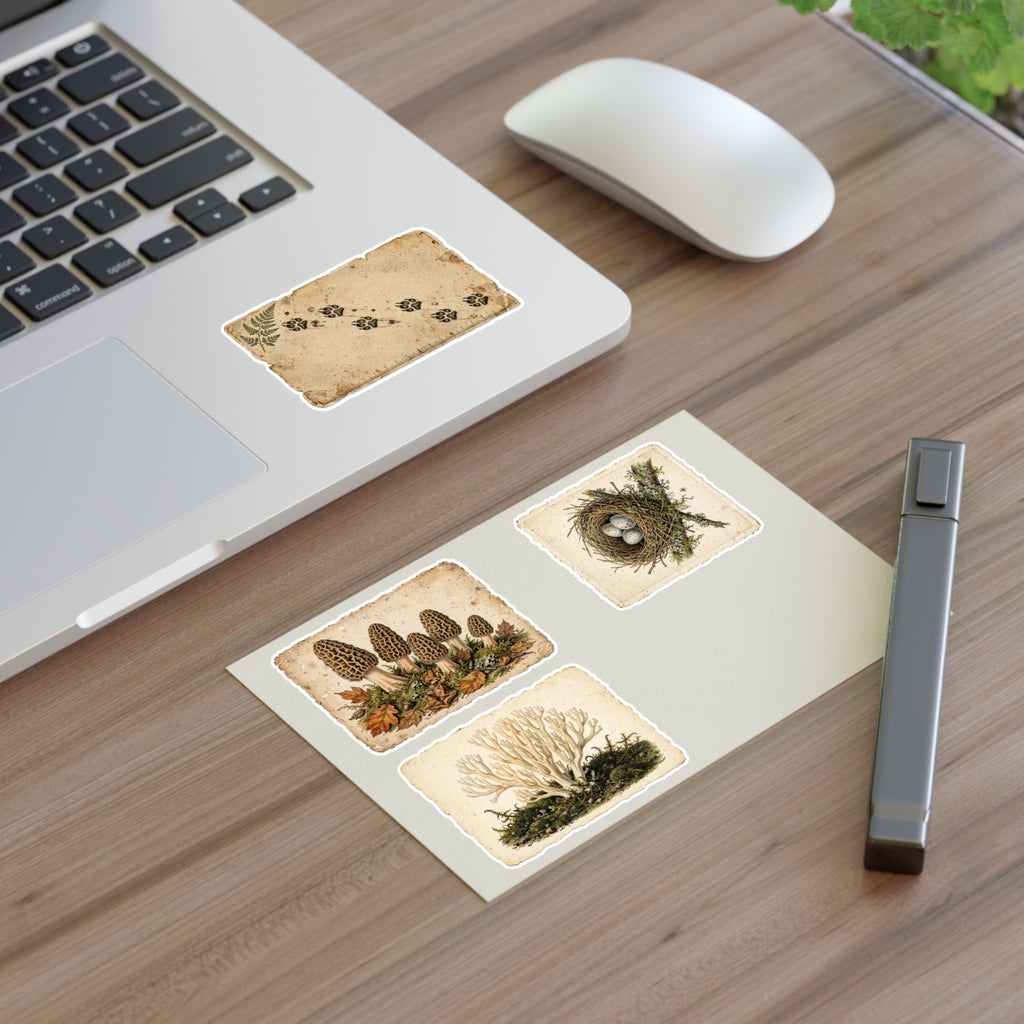 Vintage Field Guide Sticker Sheets - product photo 5