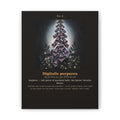Apothecary of Thorns Canvas - Foxglove No. 4 - dark botanical illustration art print on canvas