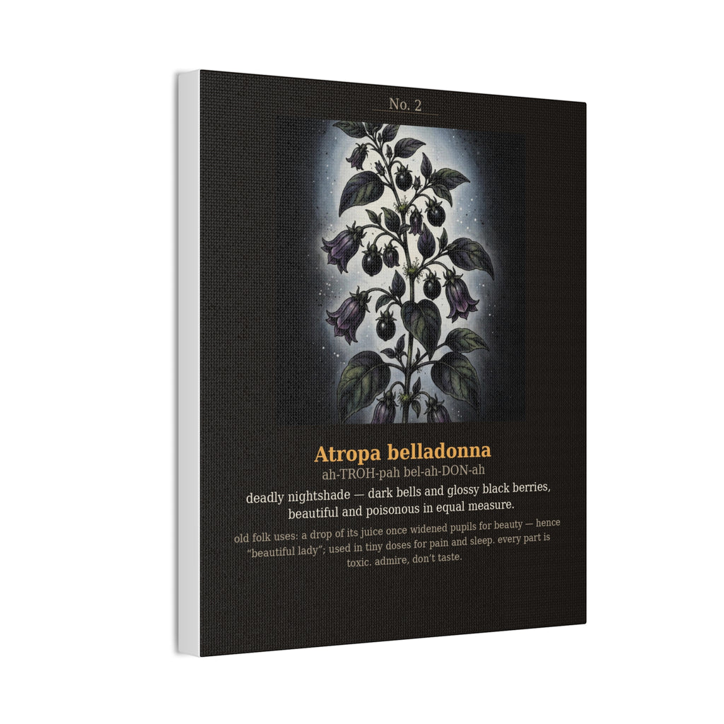 Apothecary of Thorns Canvas - Nightshade No. 2
