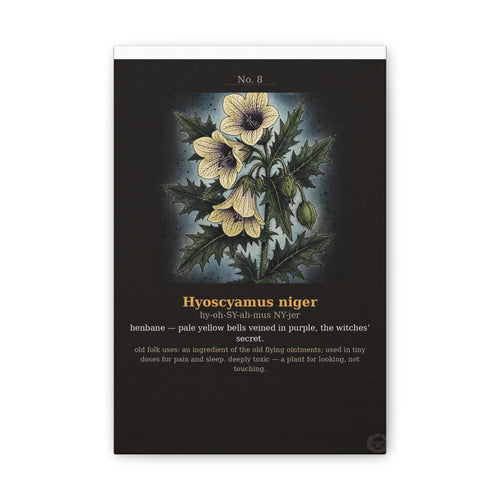Apothecary of Thorns Canvas - Henbane No. 8 - product photo 2
