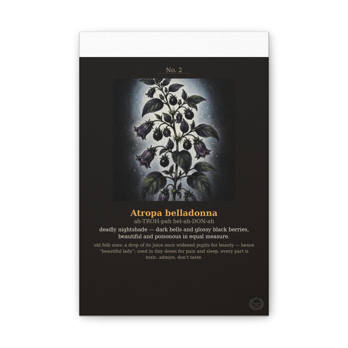 Apothecary of Thorns Canvas - Nightshade No. 2 - product photo 2