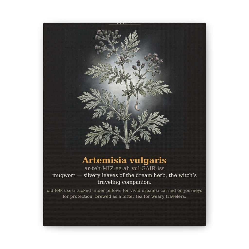 Apothecary of Thorns Canvas - Mugwort No. 7 - dark botanical illustration art print on canvas