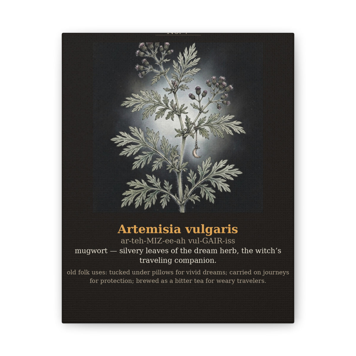 Apothecary of Thorns Canvas - Mugwort No. 7 - dark botanical illustration art print on canvas