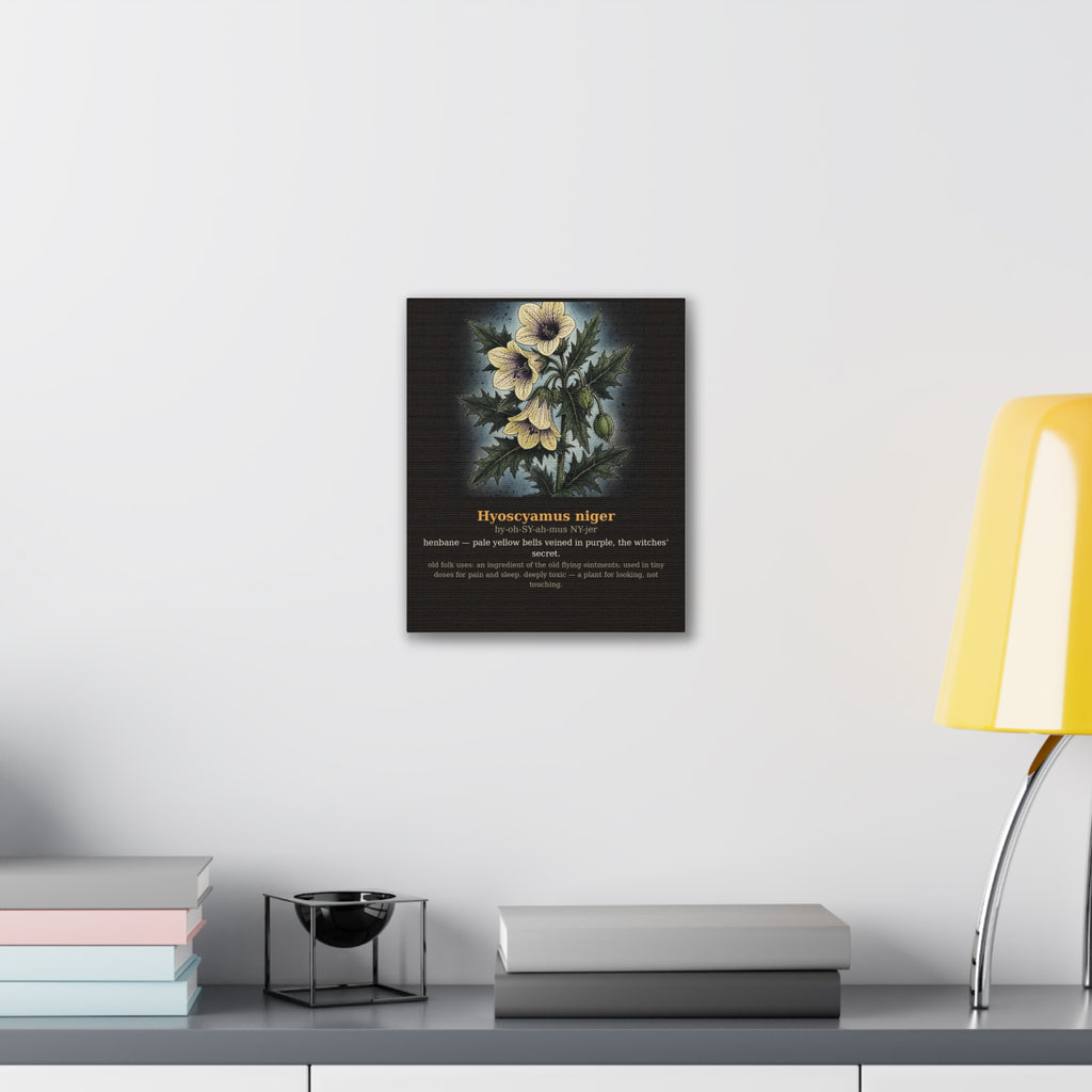 Apothecary of Thorns Canvas - Henbane No. 8