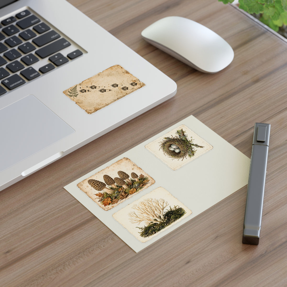 Vintage Field Guide Sticker Sheets - product photo 8