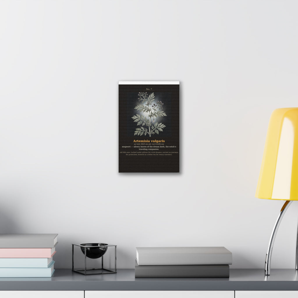 Apothecary of Thorns Canvas - Mugwort No. 7 - product photo 10