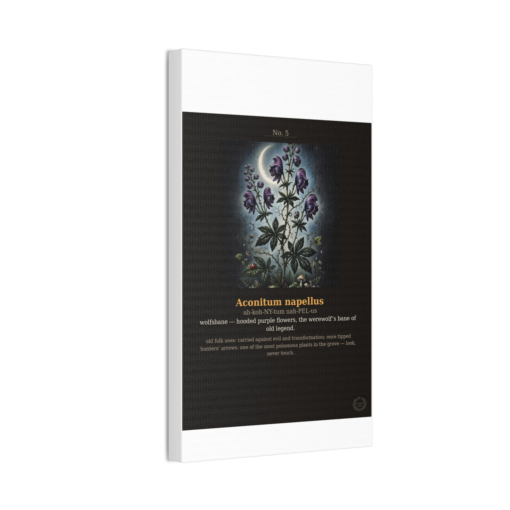 Apothecary of Thorns Canvas - Wolfsbane No. 5