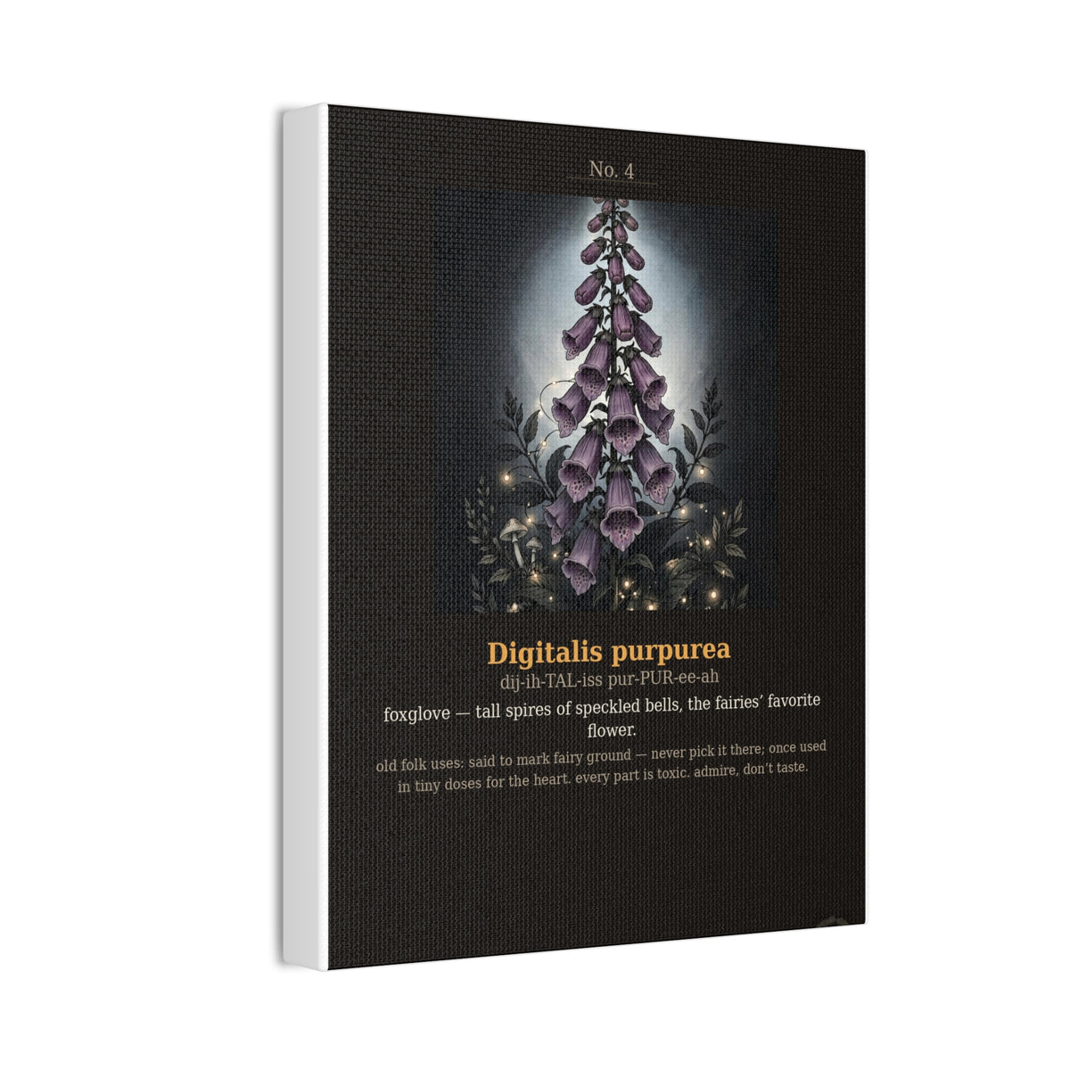 Apothecary of Thorns Canvas - Foxglove No. 4 - product photo 6