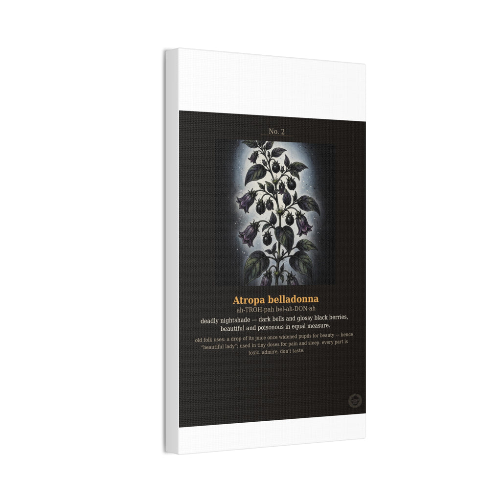 Apothecary of Thorns Canvas - Nightshade No. 2