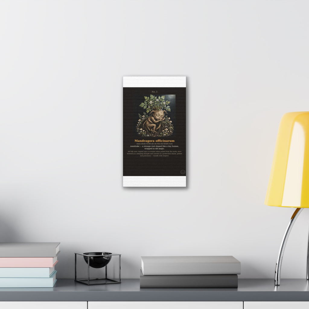 Apothecary of Thorns Canvas - Mandrake No. 3 - product photo 9