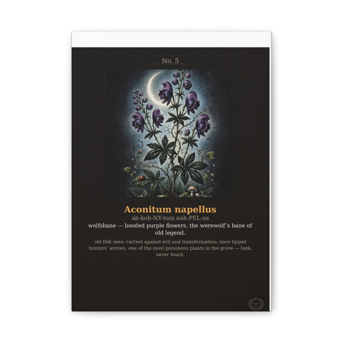 Apothecary of Thorns Canvas - Wolfsbane No. 5 - product photo 5