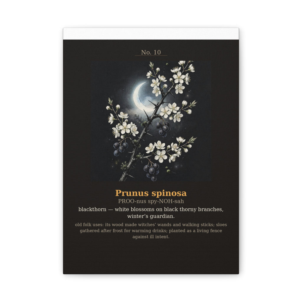 Apothecary of Thorns Canvas - Blackthorn No. 10 - product photo 5