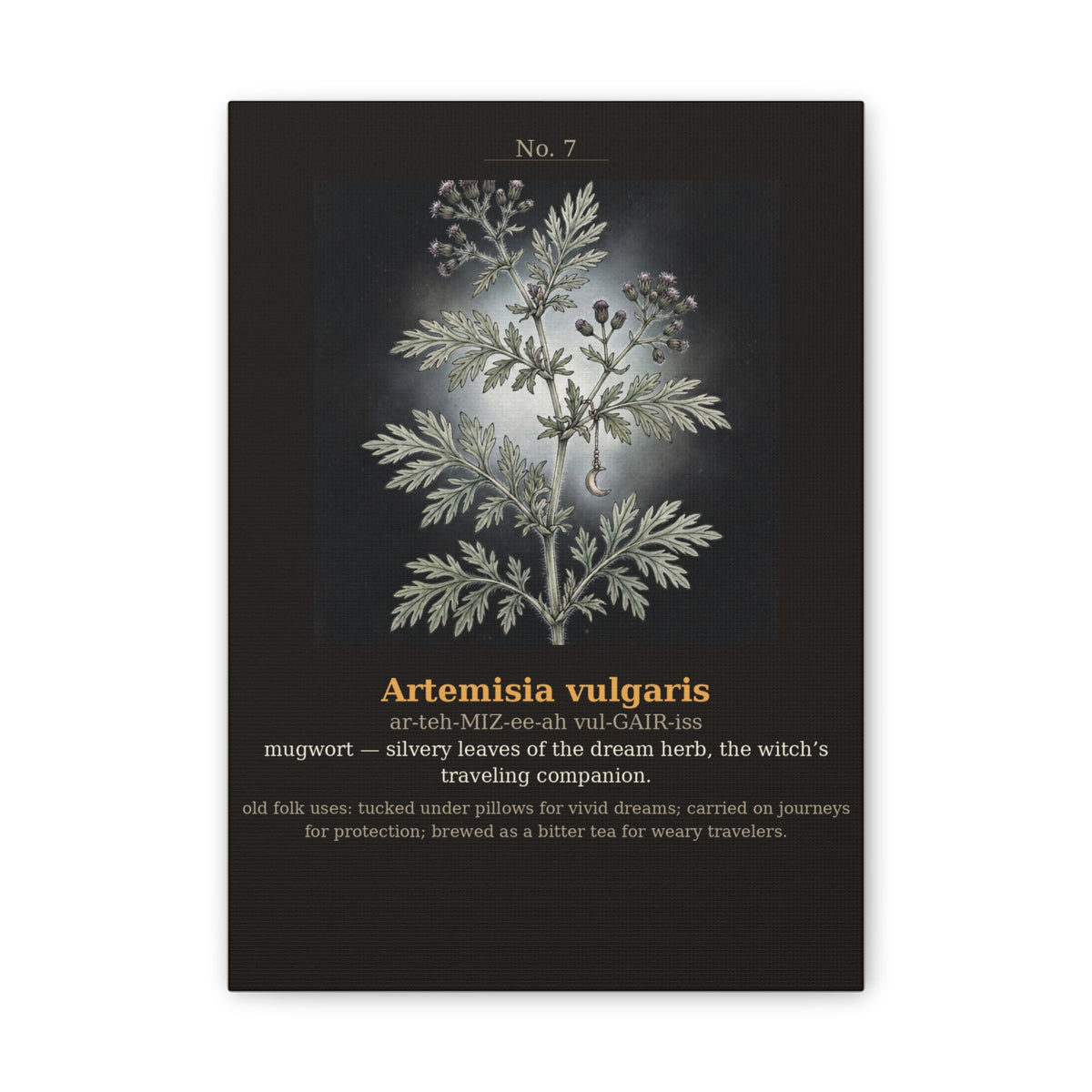 Apothecary of Thorns Canvas - Mugwort No. 7 - product photo 5