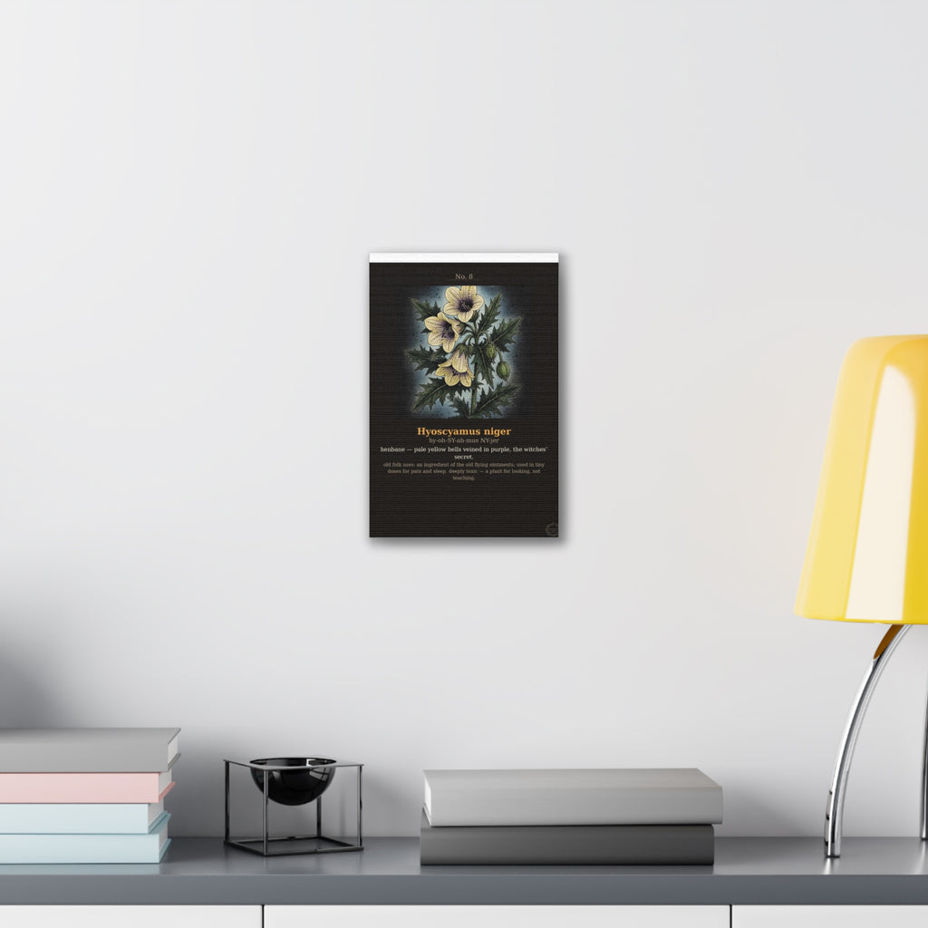 Apothecary of Thorns Canvas - Henbane No. 8 - product photo 10
