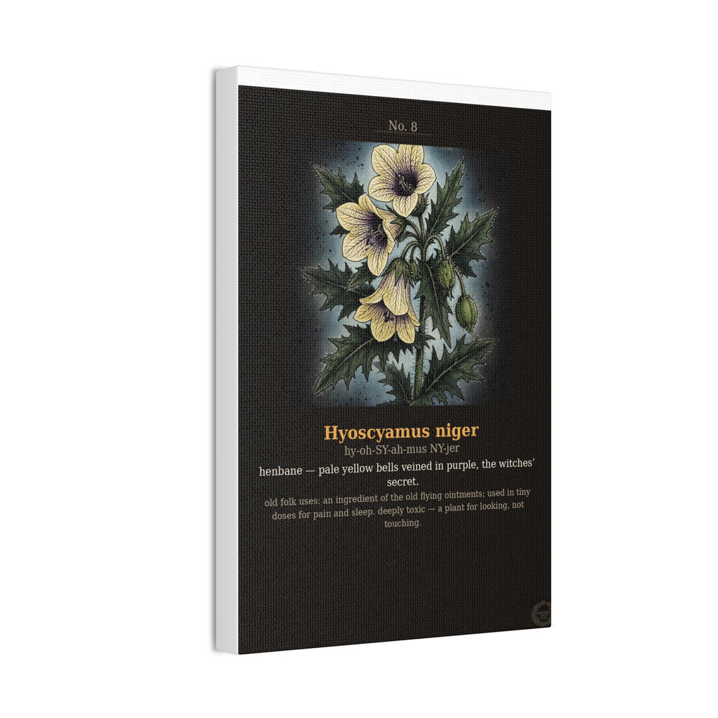 Apothecary of Thorns Canvas - Henbane No. 8 - product photo 9