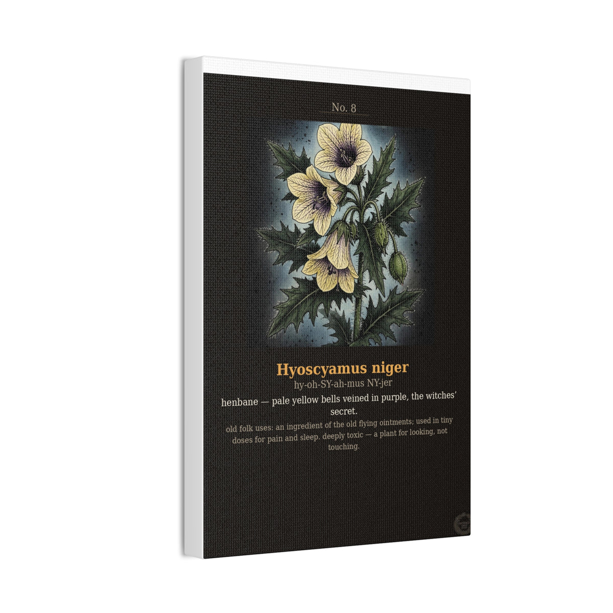 Apothecary of Thorns Canvas - Henbane No. 8 - product photo 9