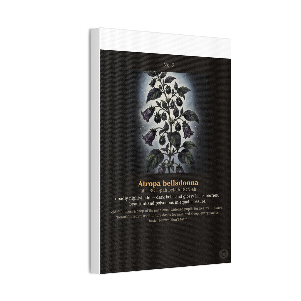Apothecary of Thorns Canvas - Nightshade No. 2 - product photo 9