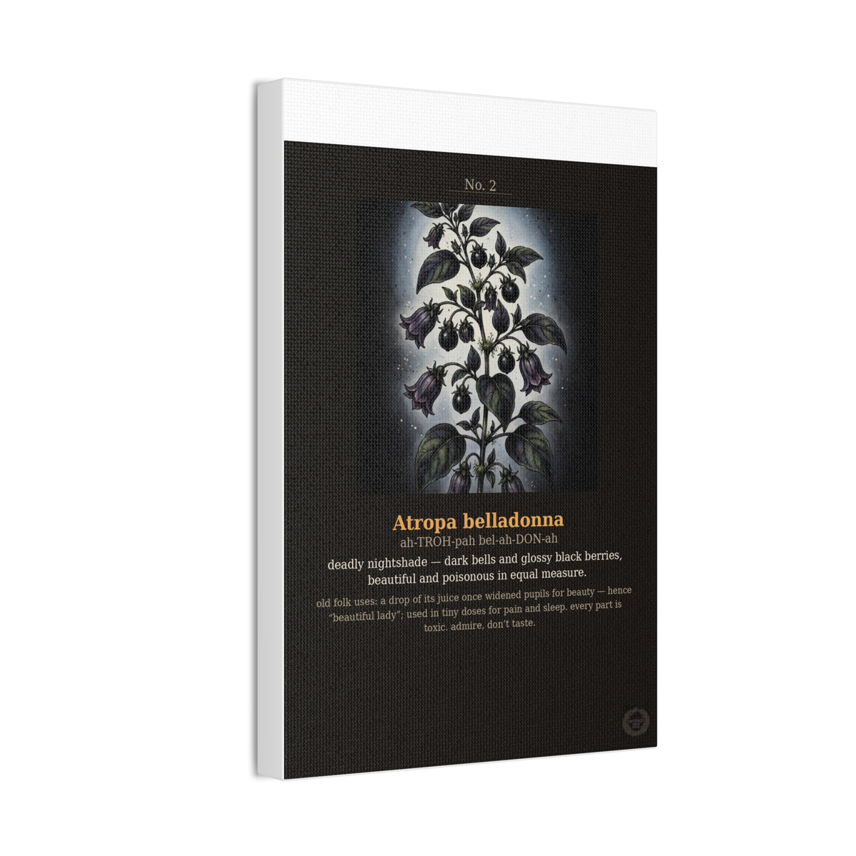 Apothecary of Thorns Canvas - Nightshade No. 2 - product photo 9