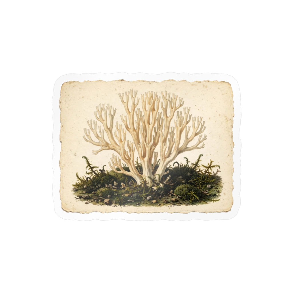 Apothecary of Thorns Herbanium Sticker - product photo 3