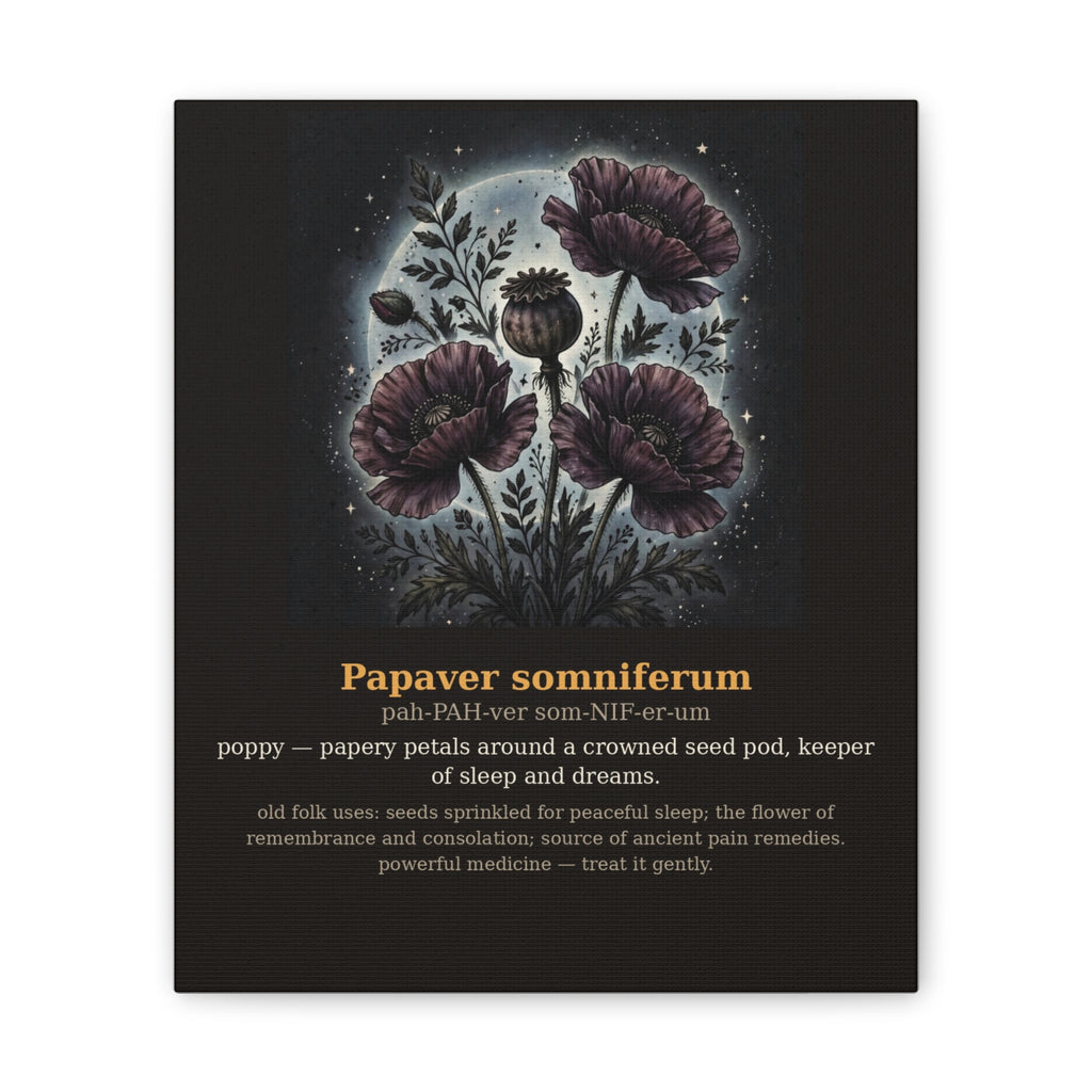 Apothecary of Thorns Canvas - Poppy No. 9 - product photo 4