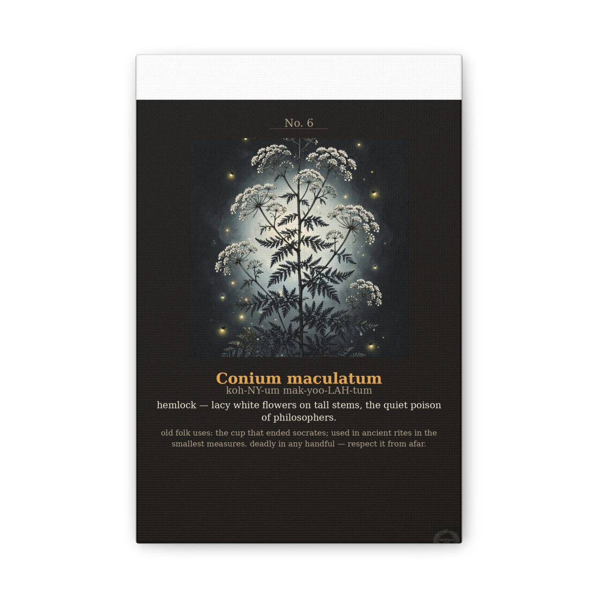 Apothecary of Thorns Canvas - Hemlock No. 6 - product photo 2