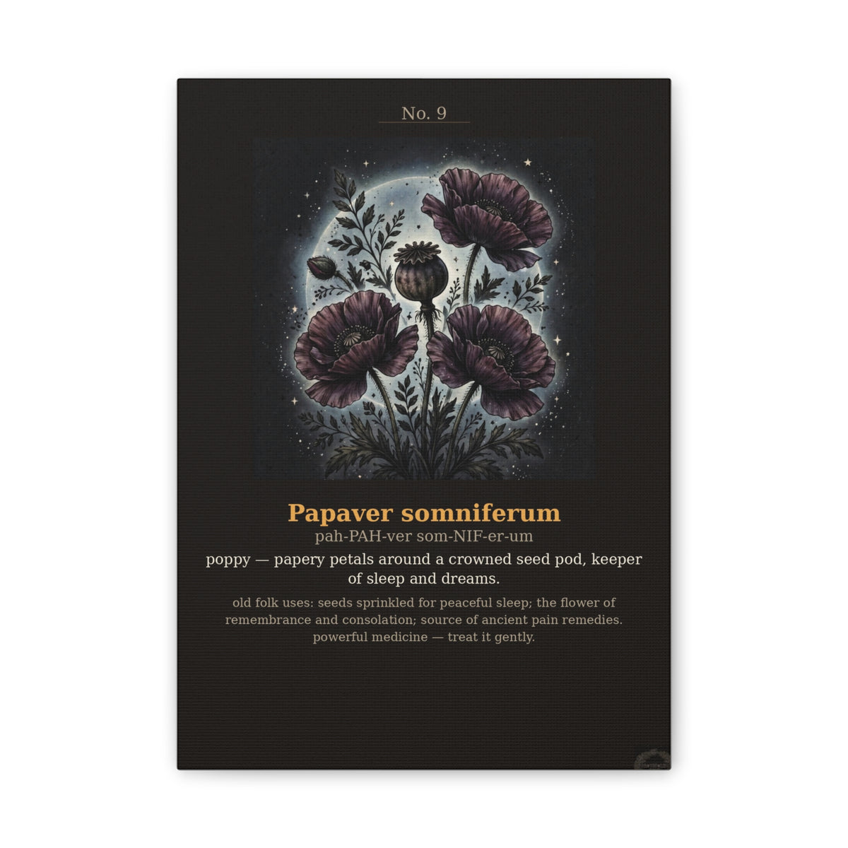 Apothecary of Thorns Canvas - Poppy No. 9 - product photo 5