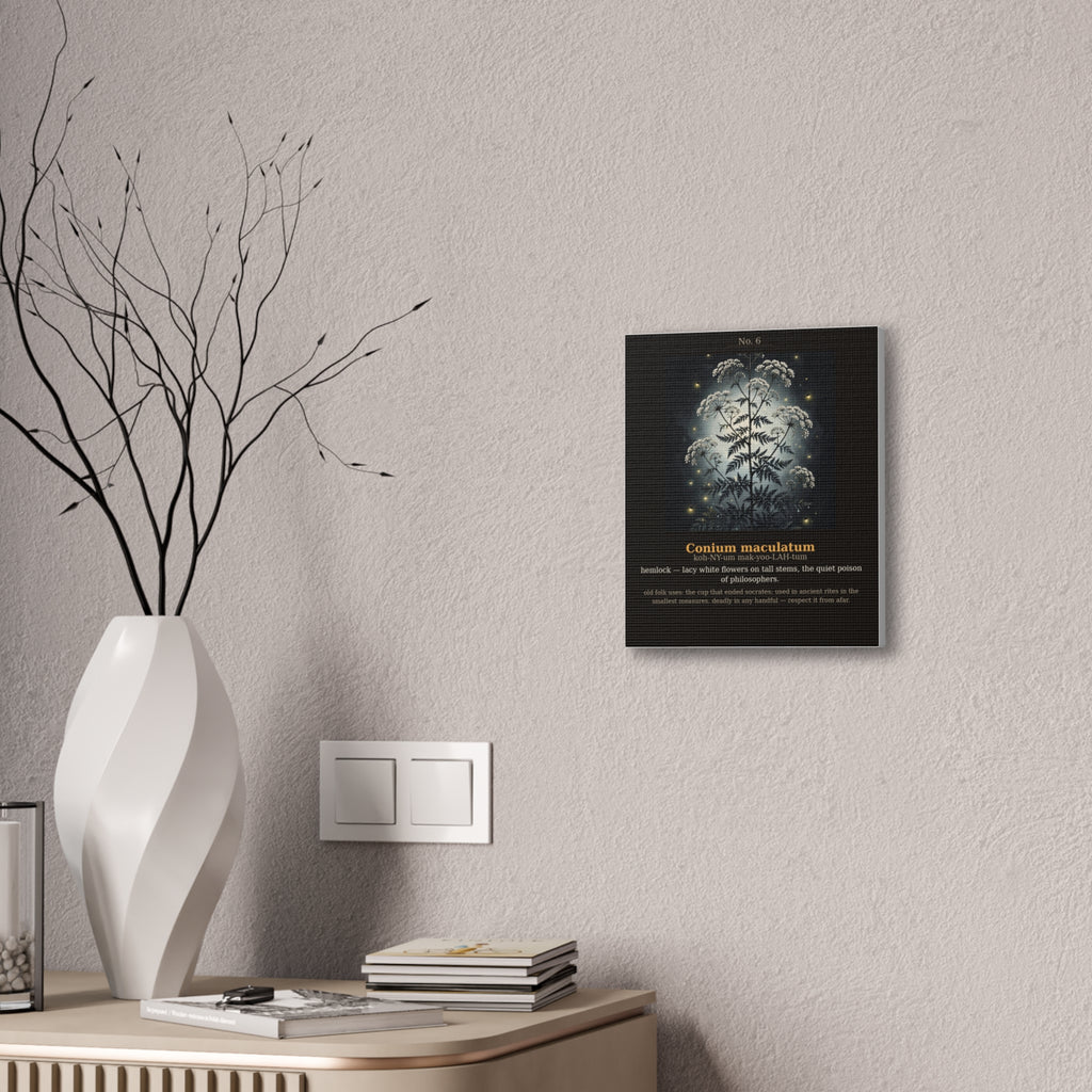 Apothecary of Thorns Canvas - Hemlock No. 6