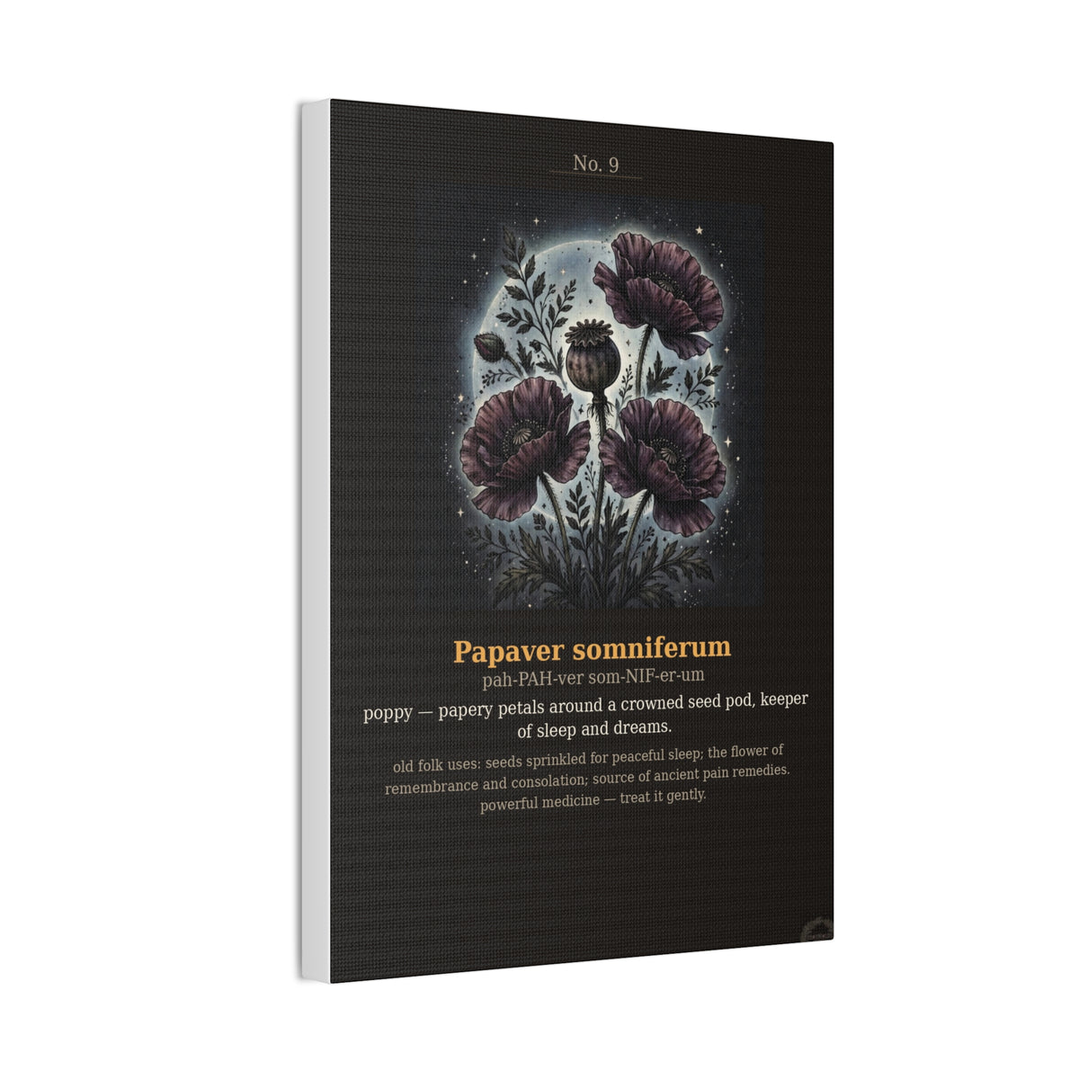 Apothecary of Thorns Canvas - Poppy No. 9