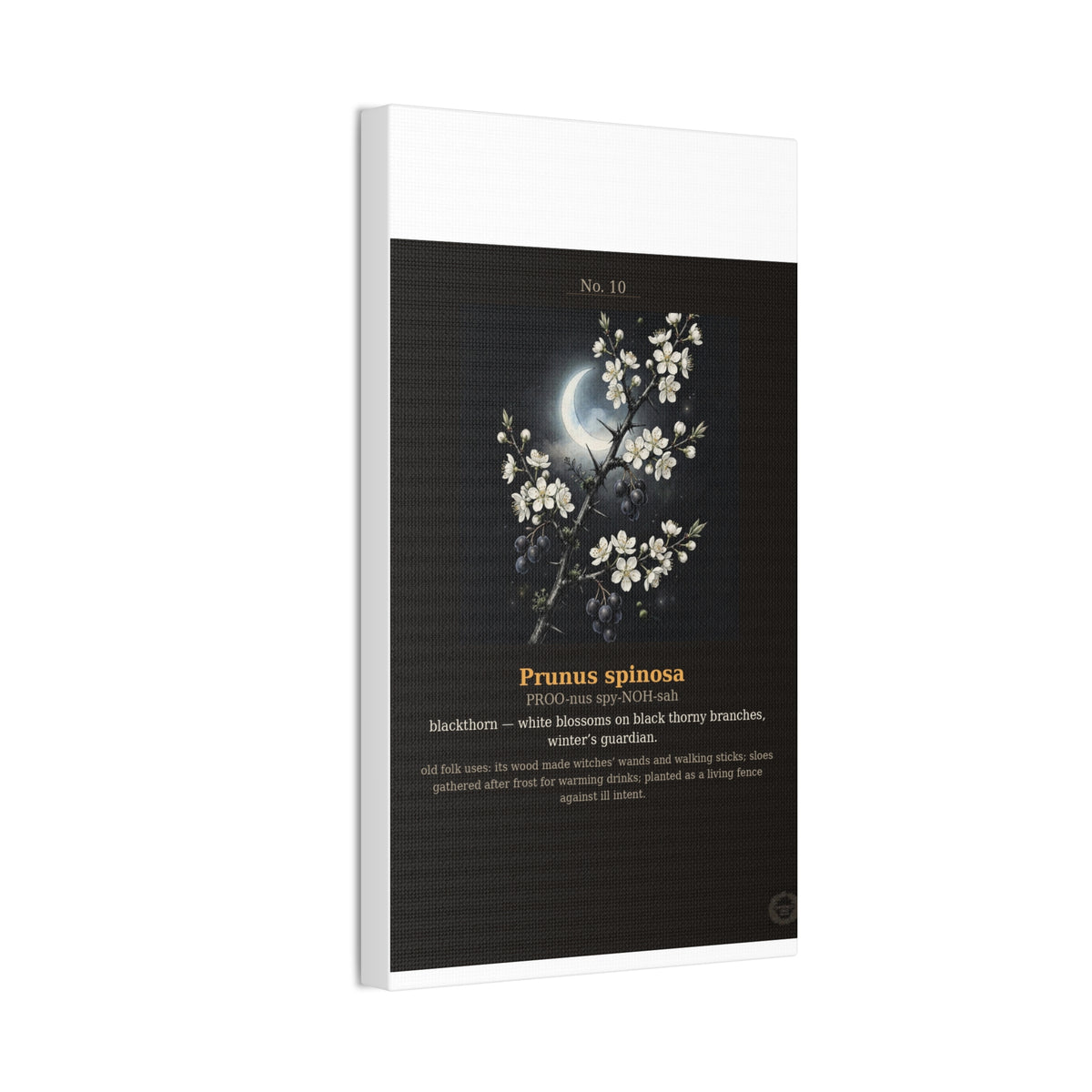 Apothecary of Thorns Canvas - Blackthorn No. 10