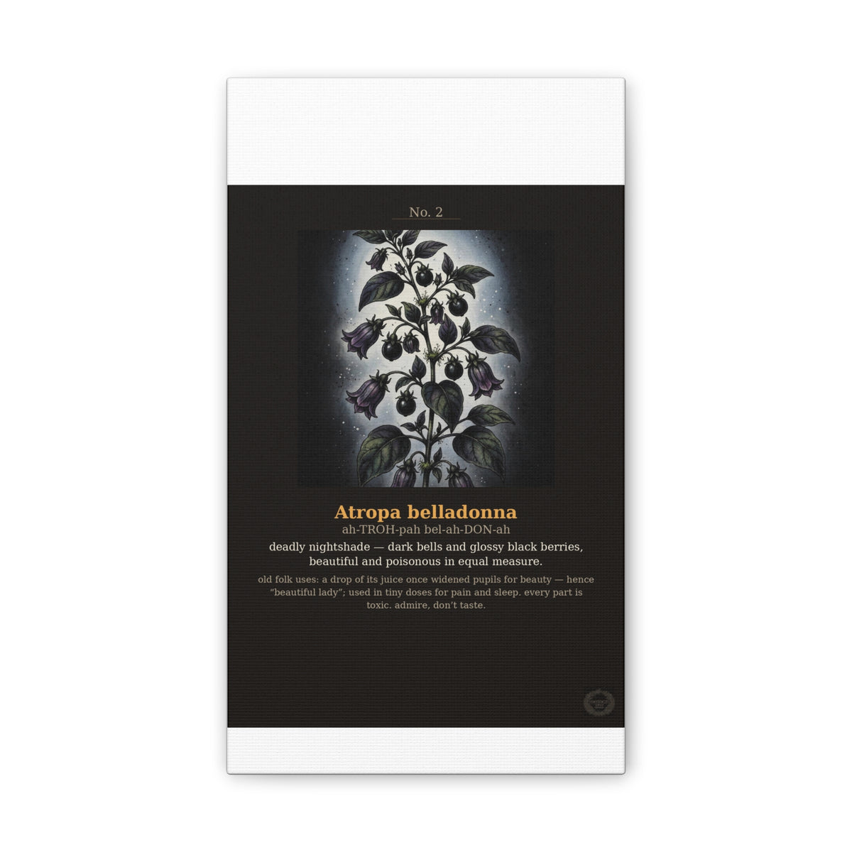 Apothecary of Thorns Canvas - Nightshade No. 2 - product photo 3