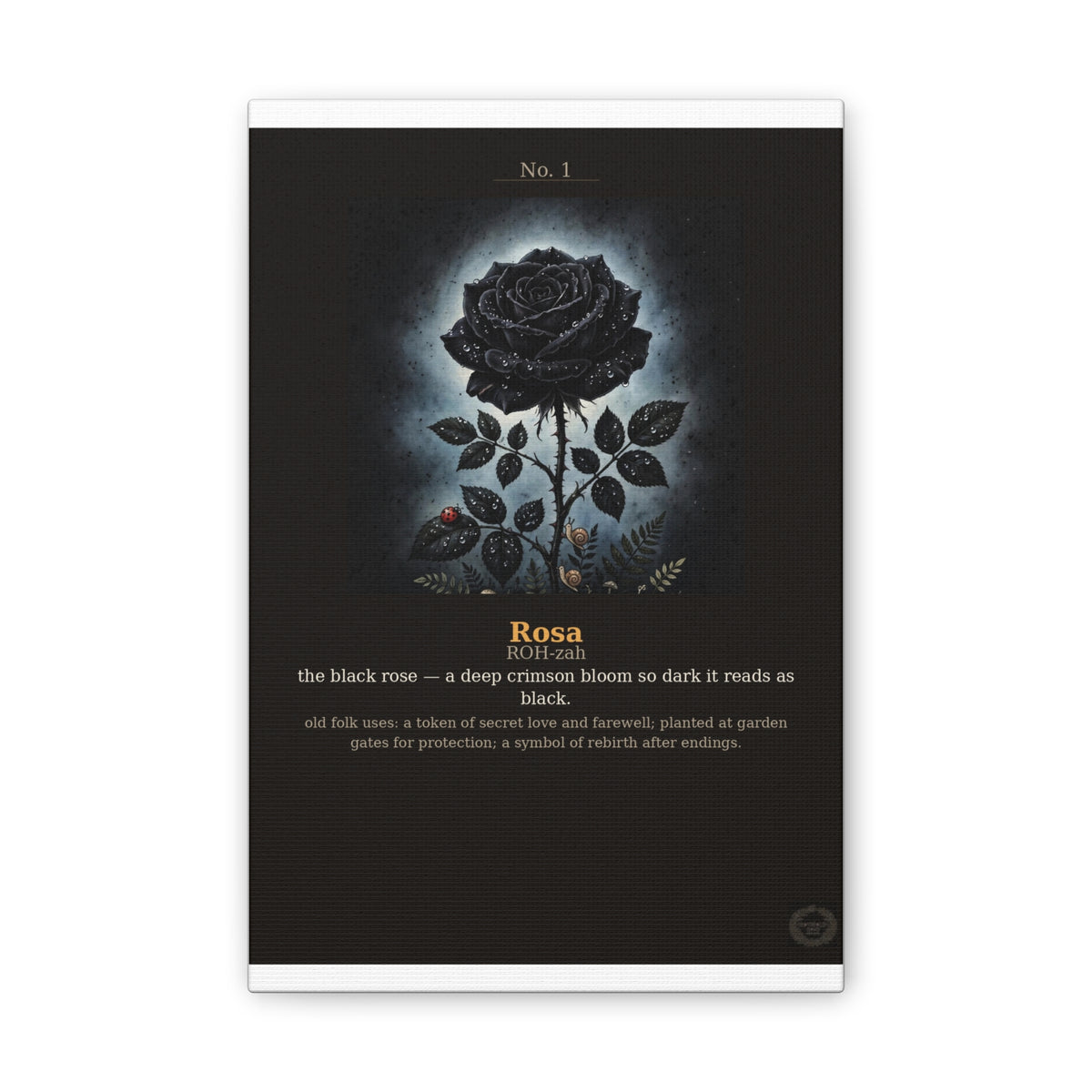 Apothecary of Thorns Canvas - Black Rose No. 1 - product photo 2