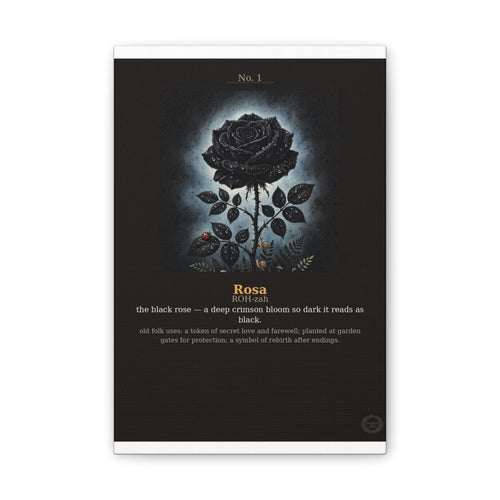 Apothecary of Thorns Canvas - Black Rose No. 1 - product photo 2