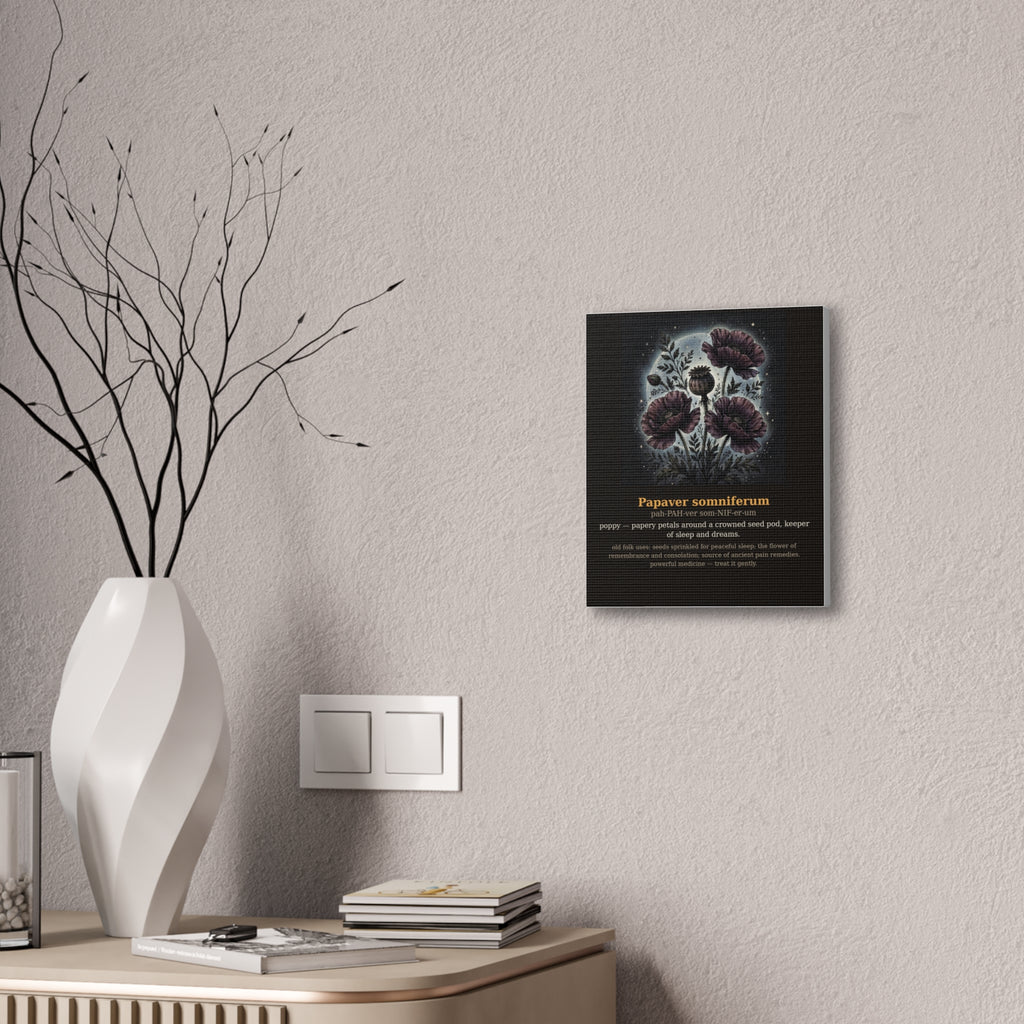 Apothecary of Thorns Canvas - Poppy No. 9