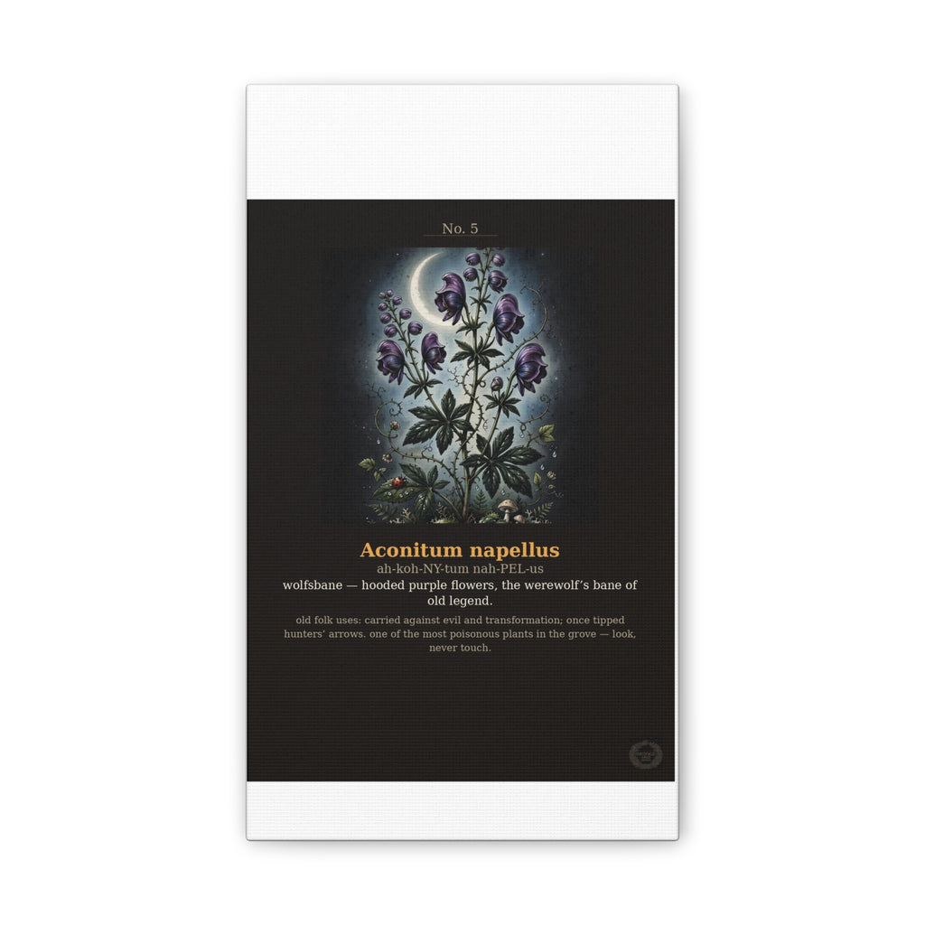 Apothecary of Thorns Canvas - Wolfsbane No. 5 - product photo 3