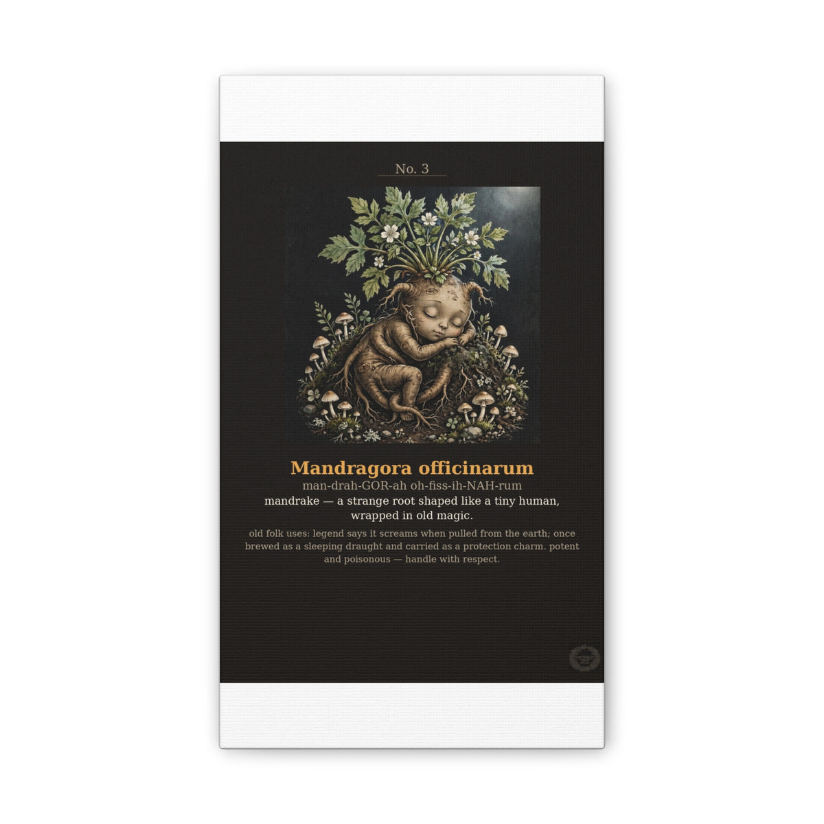 Apothecary of Thorns Canvas - Mandrake No. 3 - product photo 2