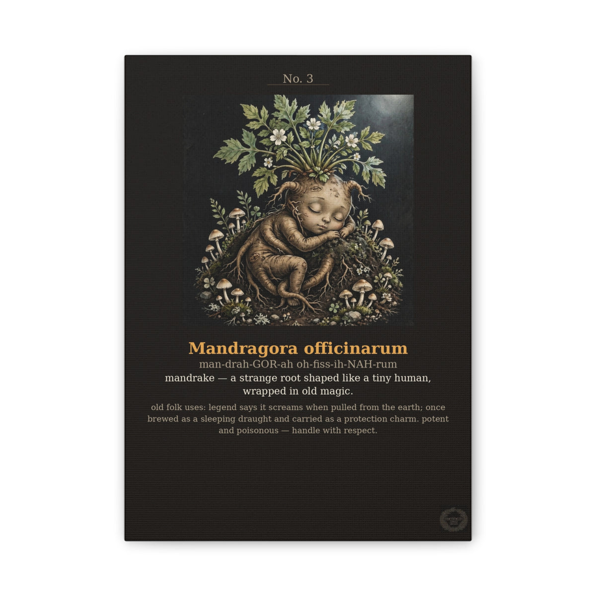 Apothecary of Thorns Canvas - Mandrake No. 3 - product photo 4