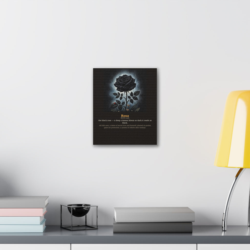 Apothecary of Thorns Canvas - Black Rose No. 1